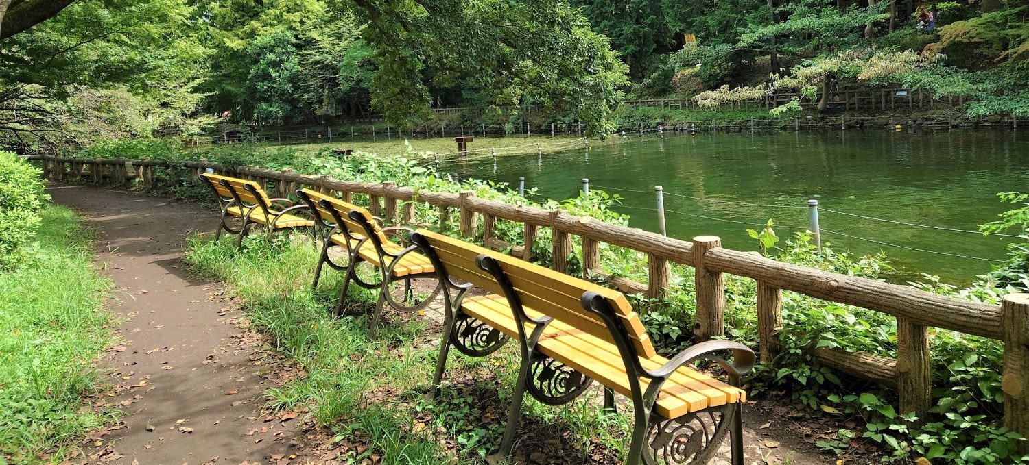 吉祥寺公園の写真